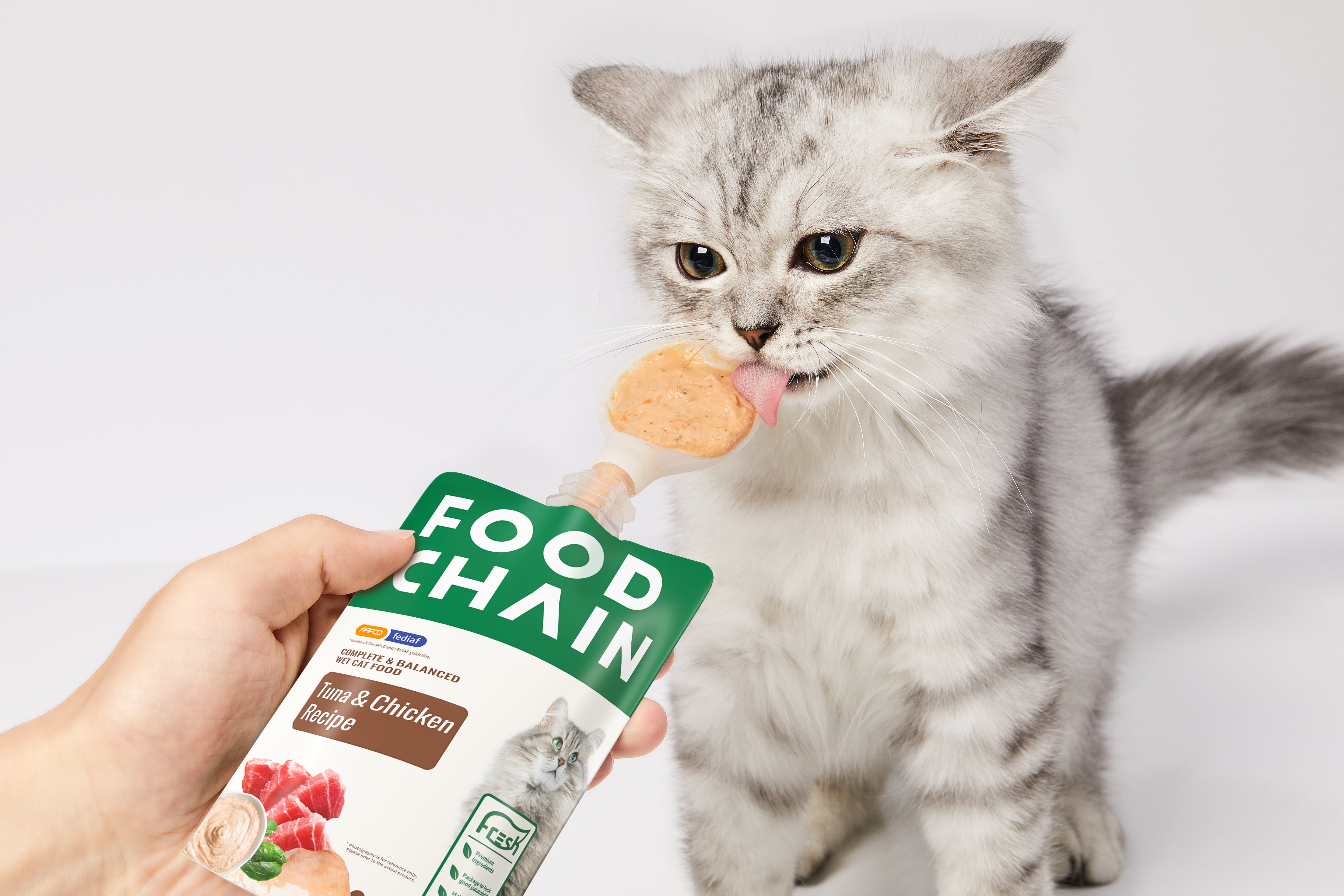 WET CAT FOOD