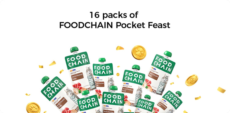 FOODCHAIN