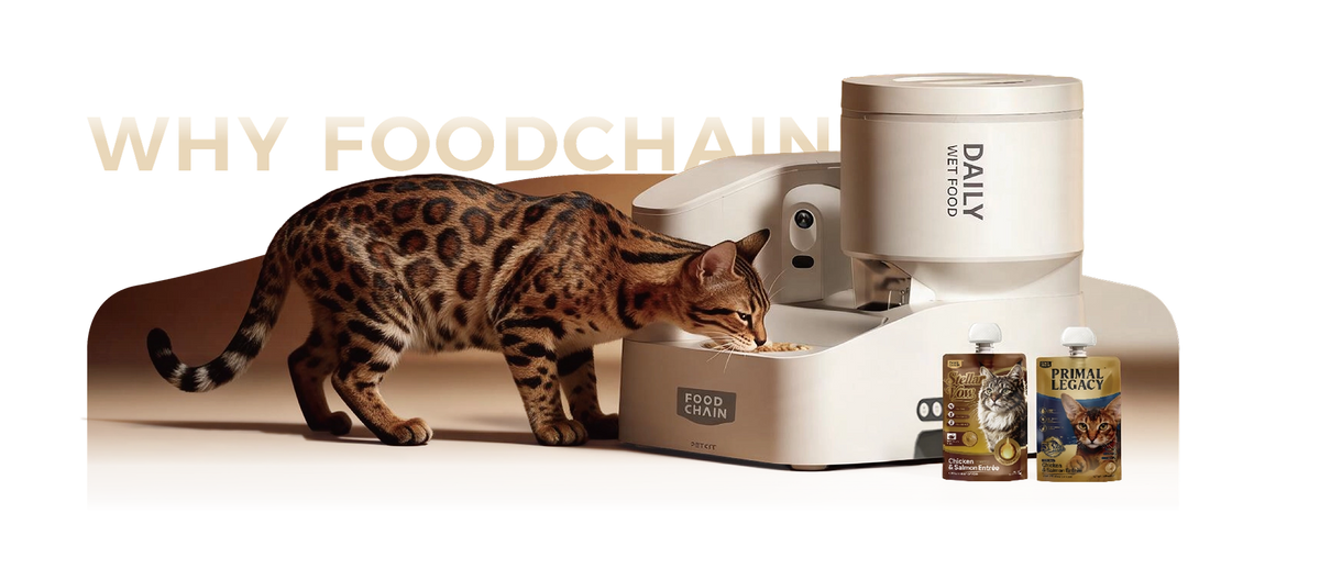 FOODCHAIN