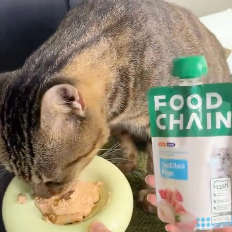 FOODCHAIN