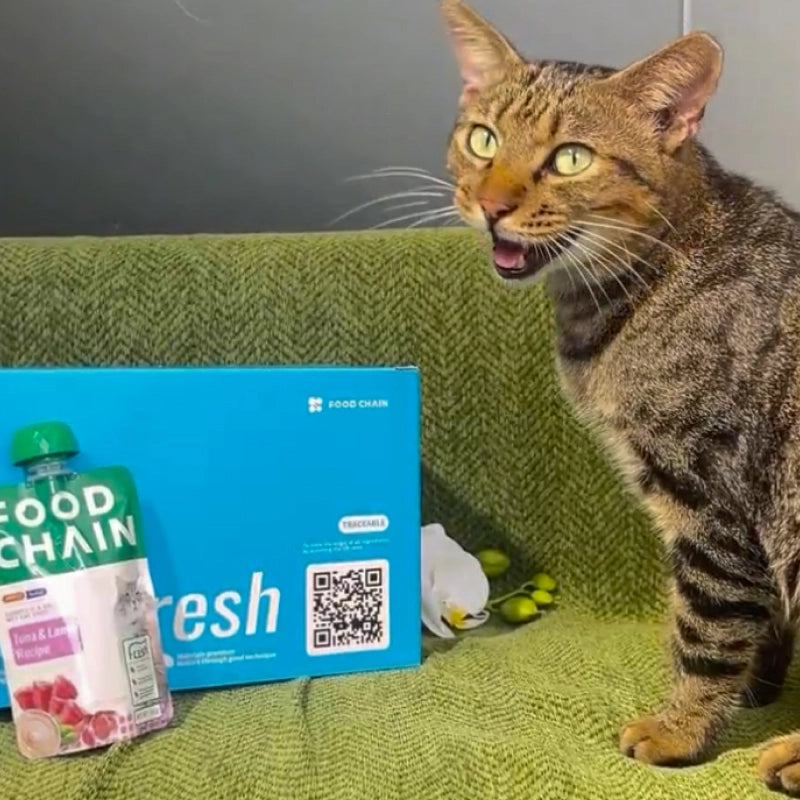 FOODCHAIN