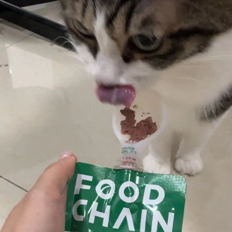 FOODCHAIN