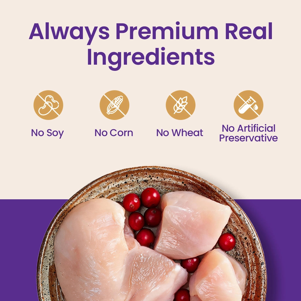 Stellar Vow Chicken Entrée for Cats（14 Packs）