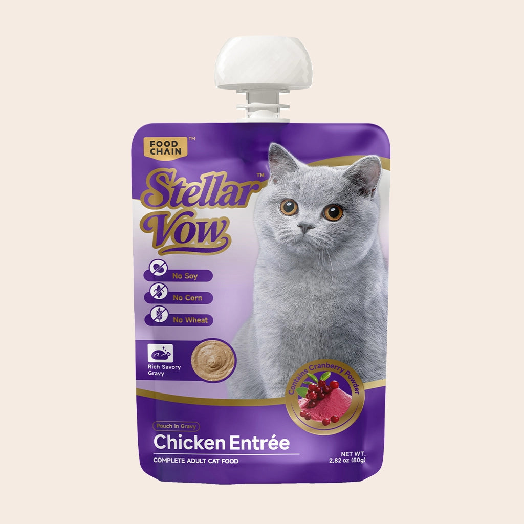 Stellar Vow Chicken Entrée for Cats（14 Packs）