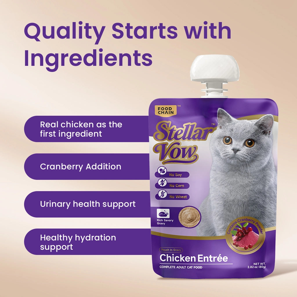 Stellar Vow Chicken Entrée for Cats（14 Packs）