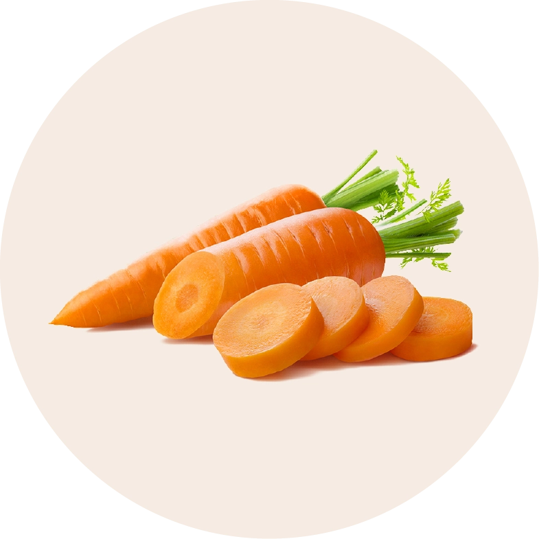 Carrot