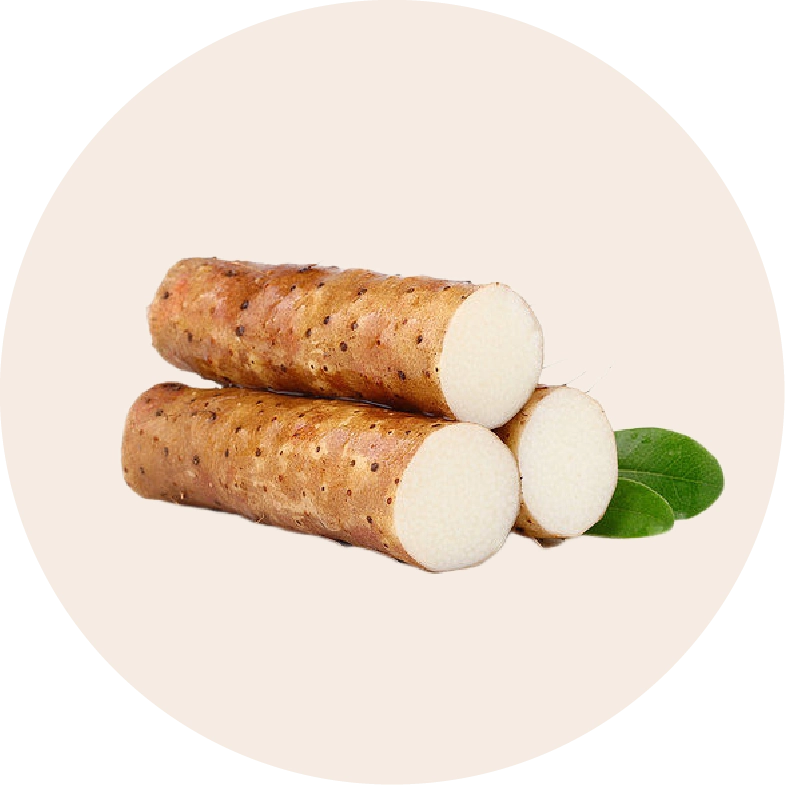 Tapioca