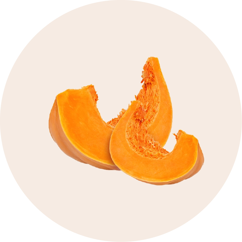 Pumpkin