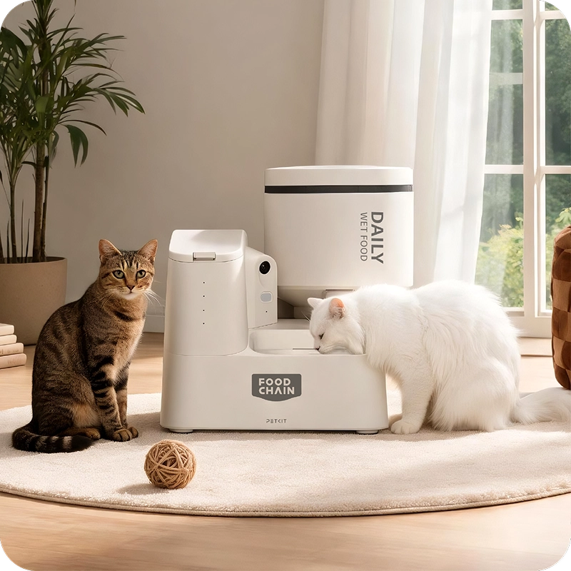 Cats beside FOODCHAIN YumShare Daily Feast Smart Robotic Feeder in a home setting