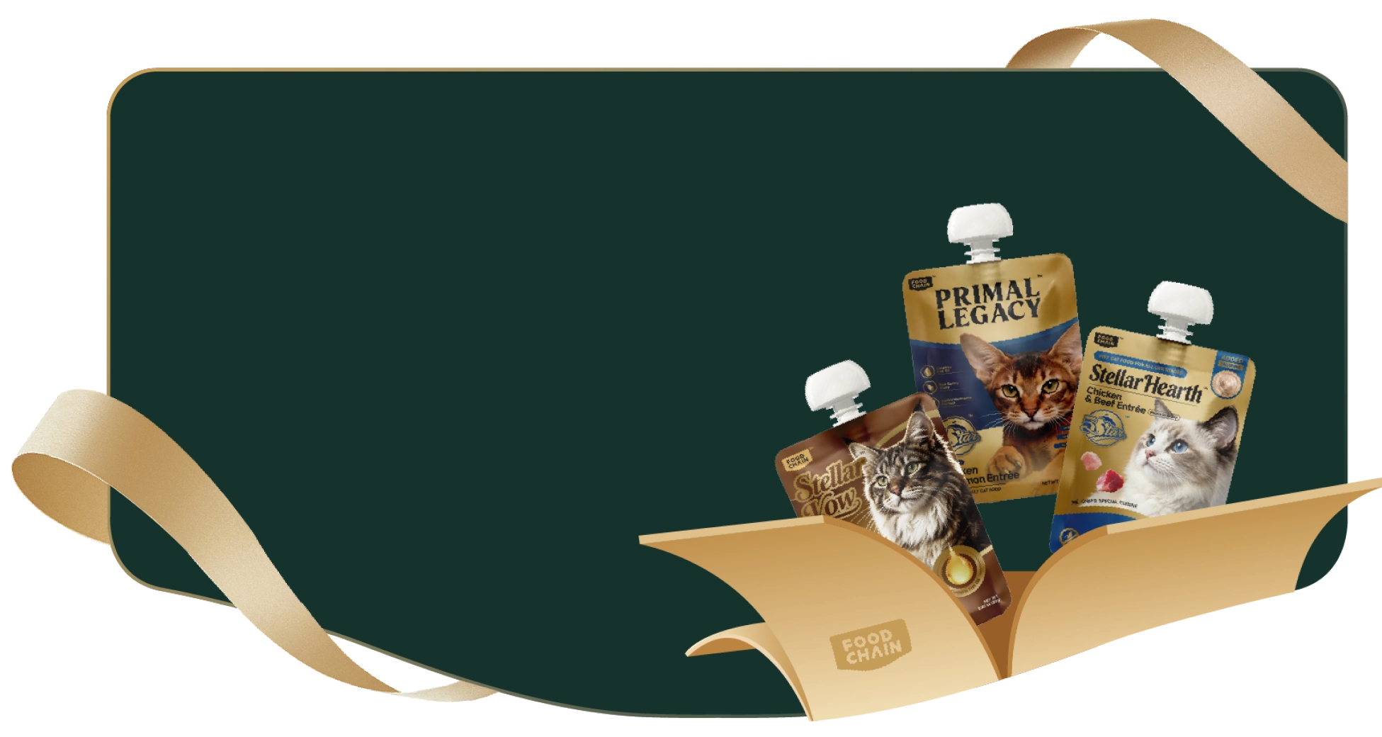 FOODCHAIN welcome offer featuring three Pocket Feast wet cat food pouches in a gift box